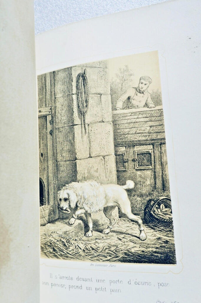 Adventures of a Pin Through History