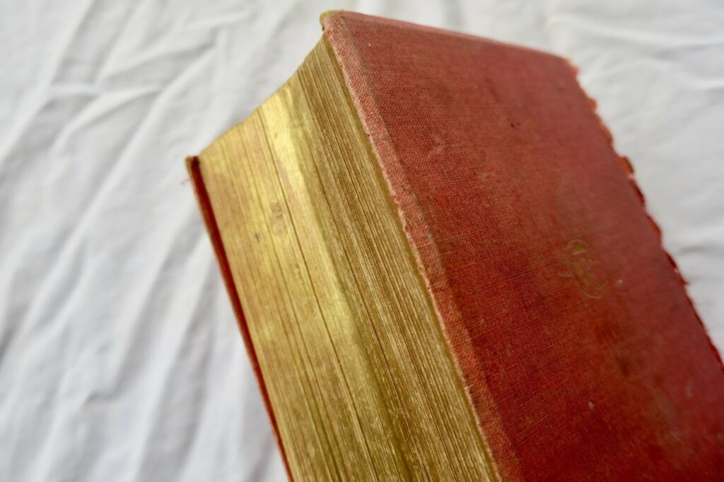 Basses-Alpes dictionnaires départementaux