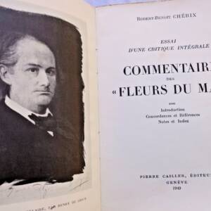 Umfassende Kritik an Baudelaire's Werk