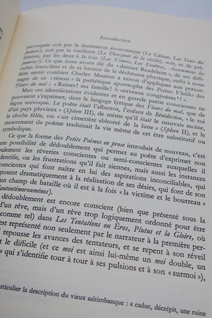Baudelaire's Pariser Gedanken
