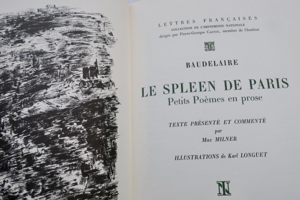 Baudelaire's Pariser Gedanken