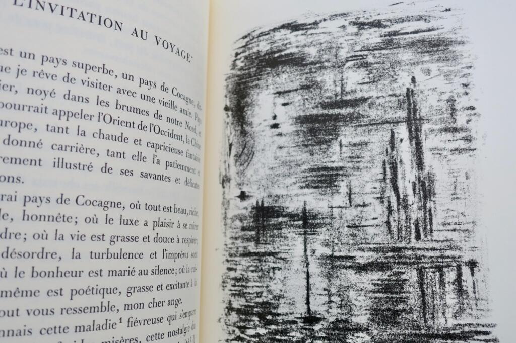 Baudelaire's Pariser Gedanken