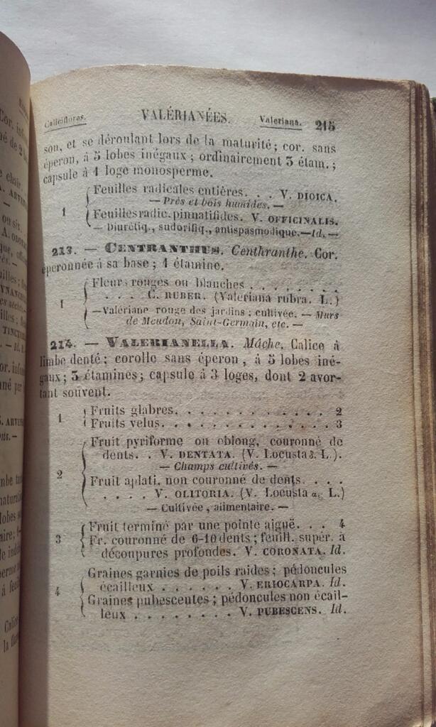 Analytical table of Parisian flora, 1853