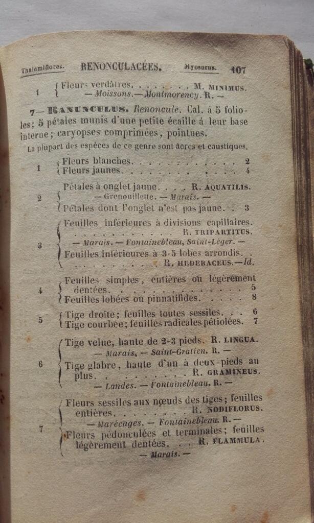 Analytical table of Parisian flora, 1853