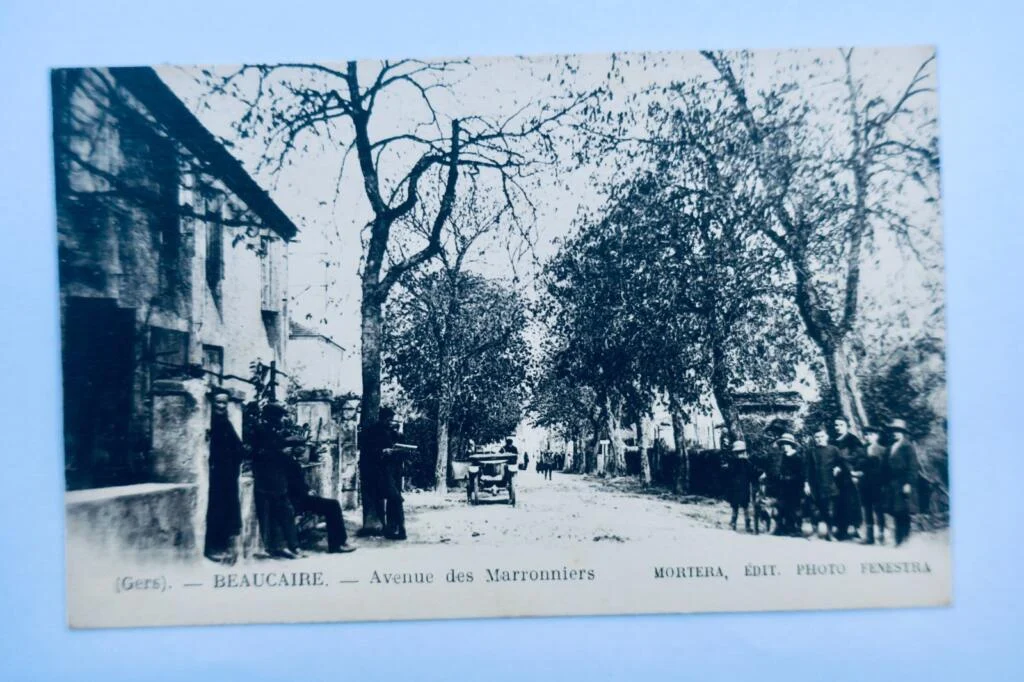 Beaucaire, Gers - Avenue des Marronniers