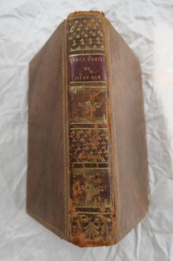 Young virtue and Angela's tale with pantheon of famous children