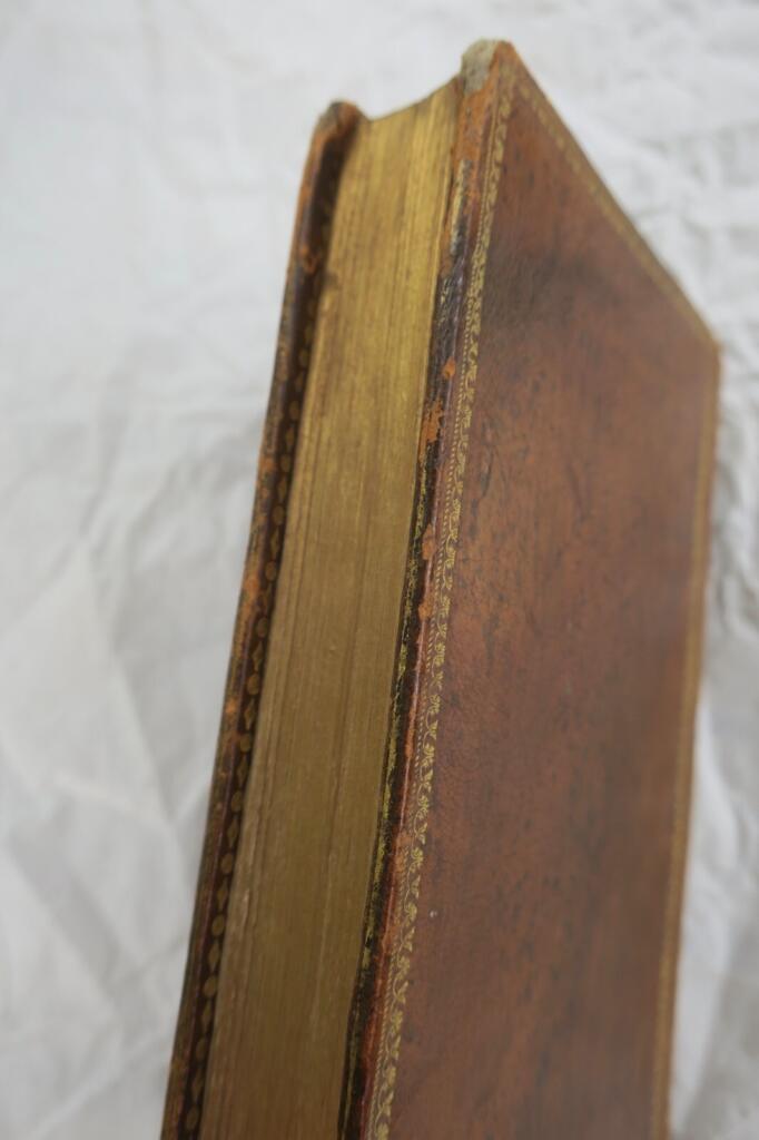 Tales of Youth and Notable Children's Stories