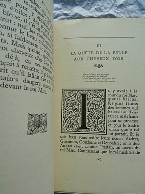 Medieval Romance of Passion and Fate