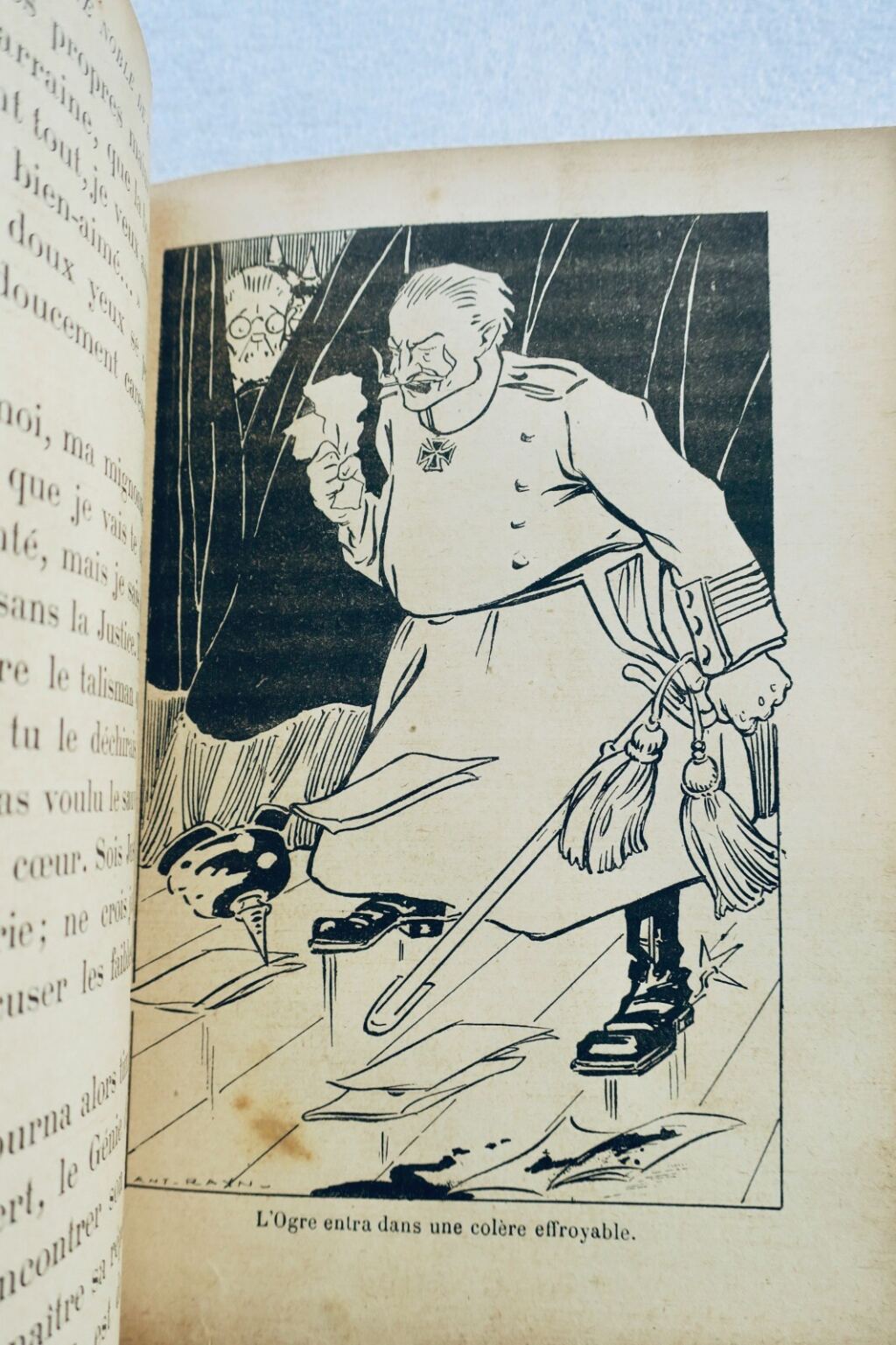 Belgiens edle Königin - Historisches Porträt