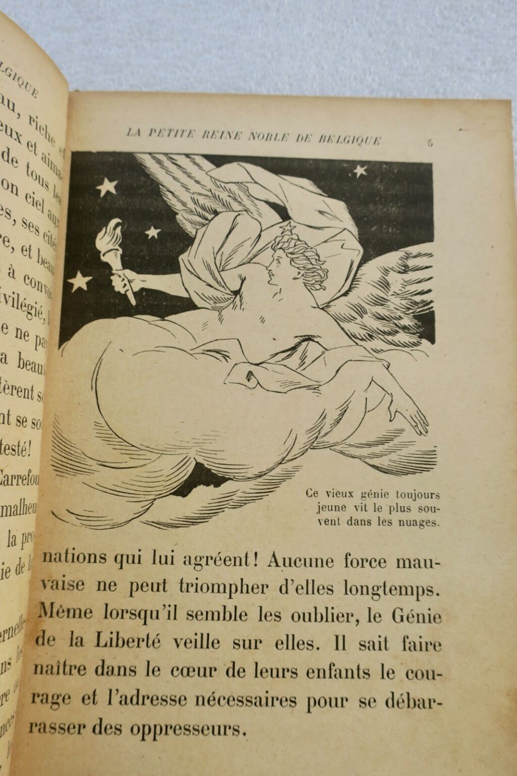 Belgiens edle Königin - Historisches Porträt