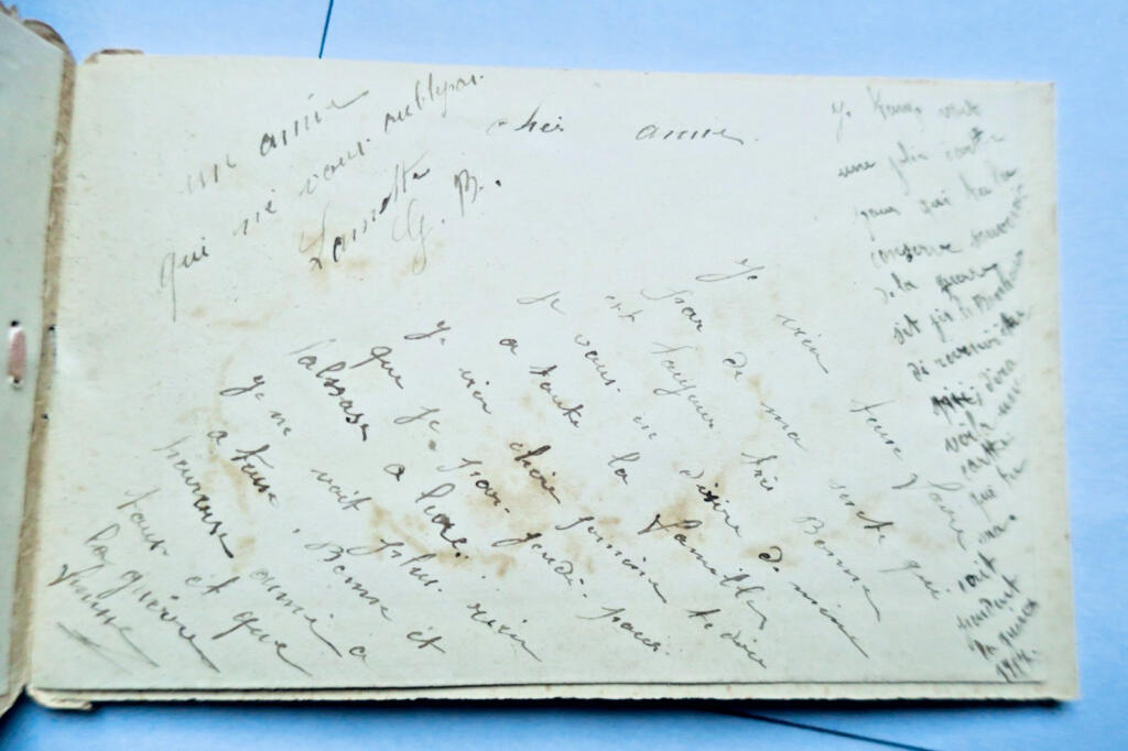 Belle époque carte Bonne année dépliante 86 x 135 mm.