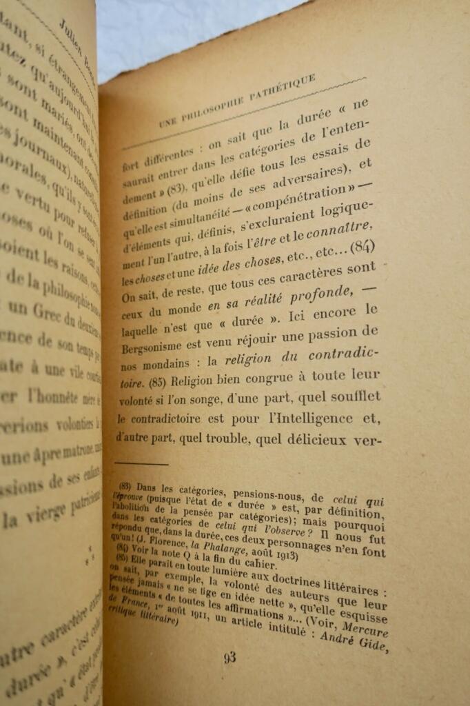Philosophical Pathos: Essays on Modern Thought