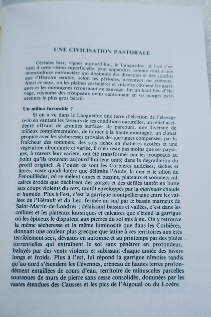 BERGERS ET TROUPEAUX EN LANGUEDOC ET CATALOGNE
