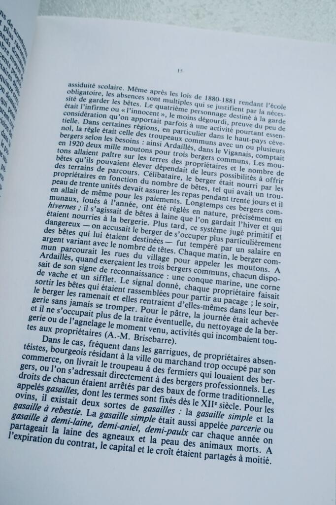 BERGERS ET TROUPEAUX EN LANGUEDOC ET CATALOGNE