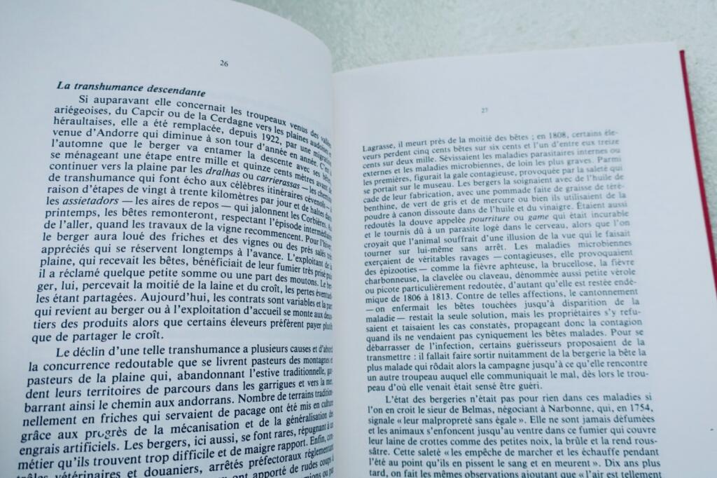 BERGERS ET TROUPEAUX EN LANGUEDOC ET CATALOGNE