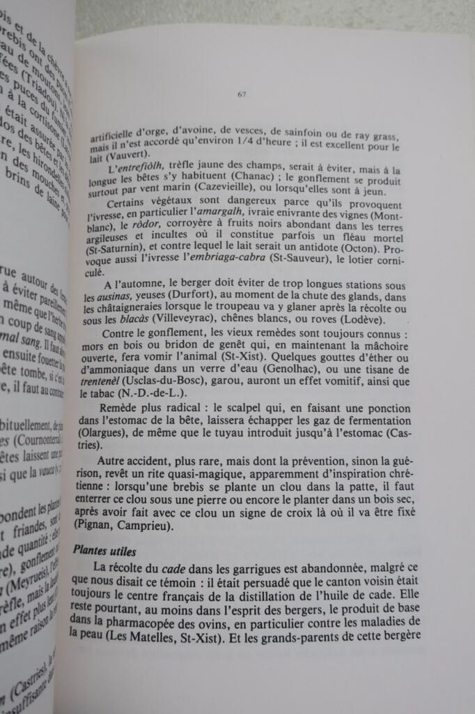 BERGERS ET TROUPEAUX EN LANGUEDOC ET CATALOGNE