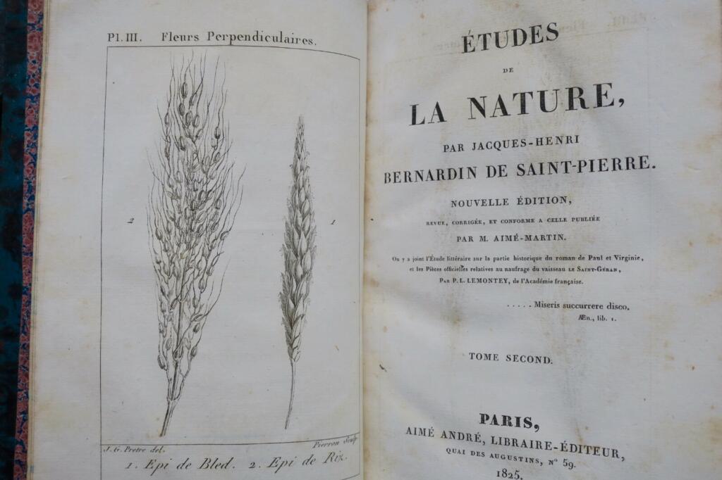 Naturstudien und Harmonie