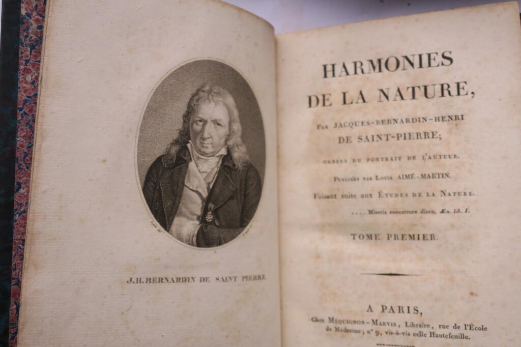 Naturstudien und Harmonie
