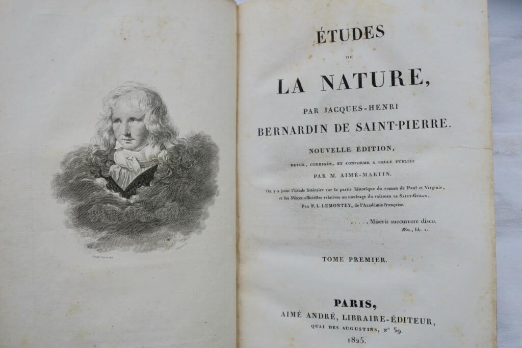 Naturstudien und Harmonie