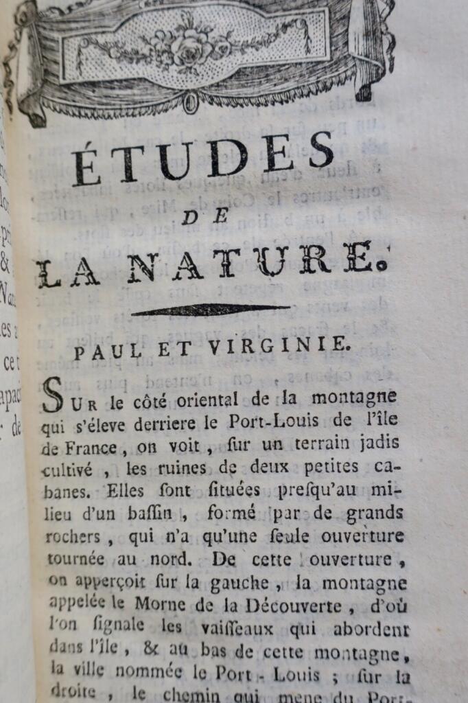 Naturstudien und Wünsche eines Einsiedlers