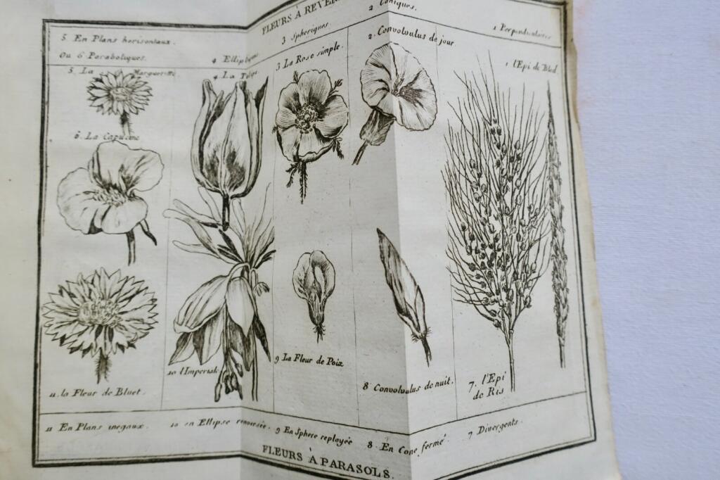 Naturstudien und Wünsche eines Einsiedlers