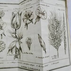 Naturstudien und Wünsche eines Einsiedlers, 1787-1790