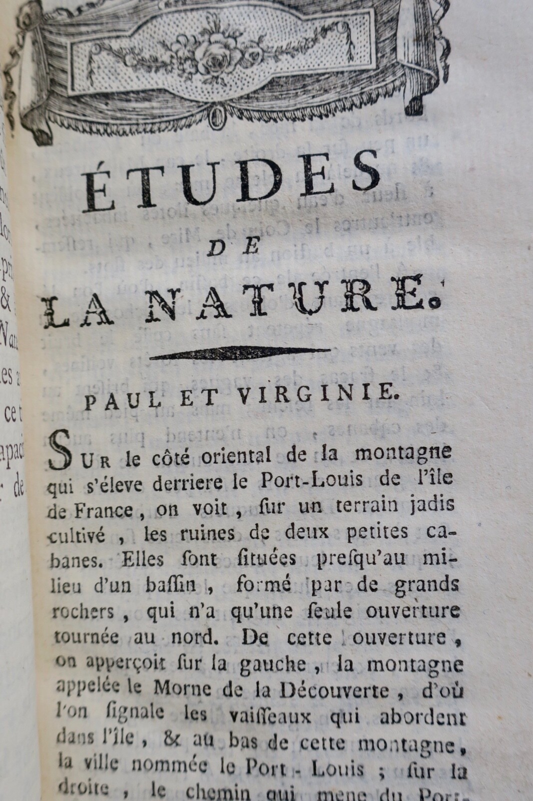 Naturstudien und Wünsche eines Einsiedlers, 1787-1790 - Image 5