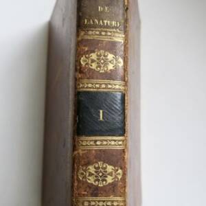 Naturharmonien - Philosophischer Essay über die Natur