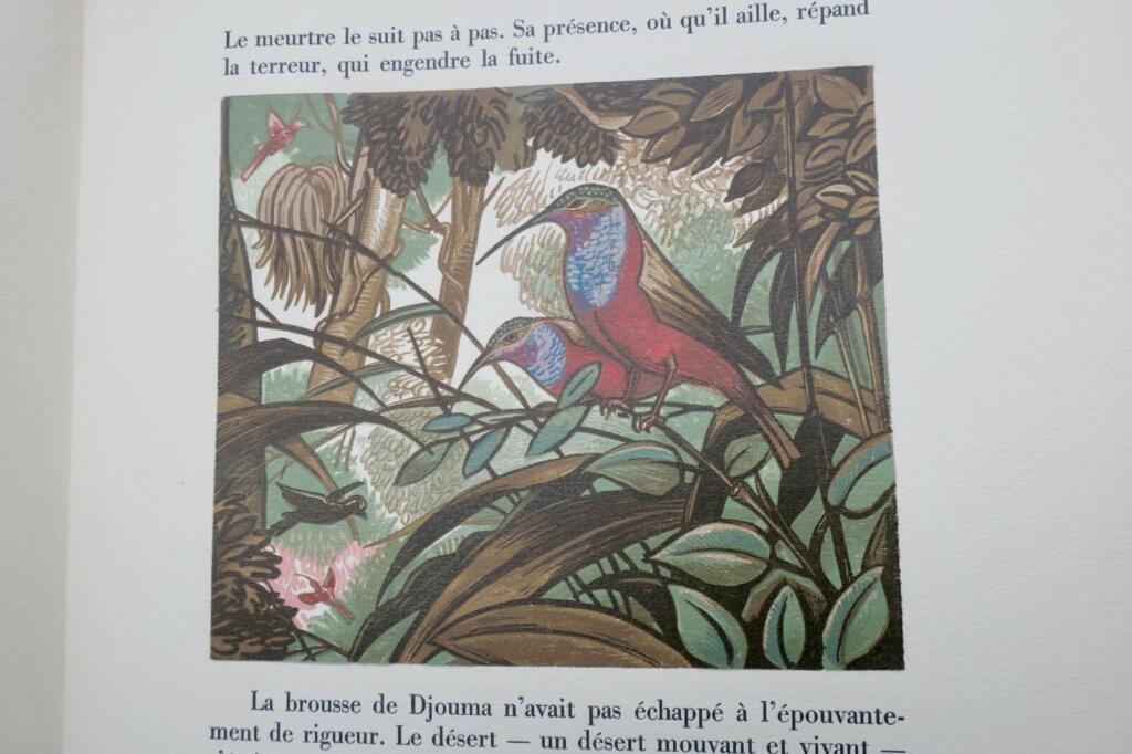 Bush Creatures. Illustrated by André Collot