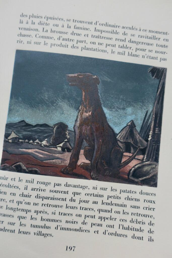 Bush Creatures. Illustrated by André Collot