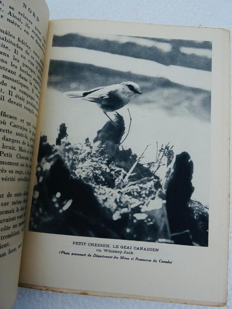 Nordische Wildnis: Biber, Bisamratten, Füchse, Luchse, Elche, Bären, Häher