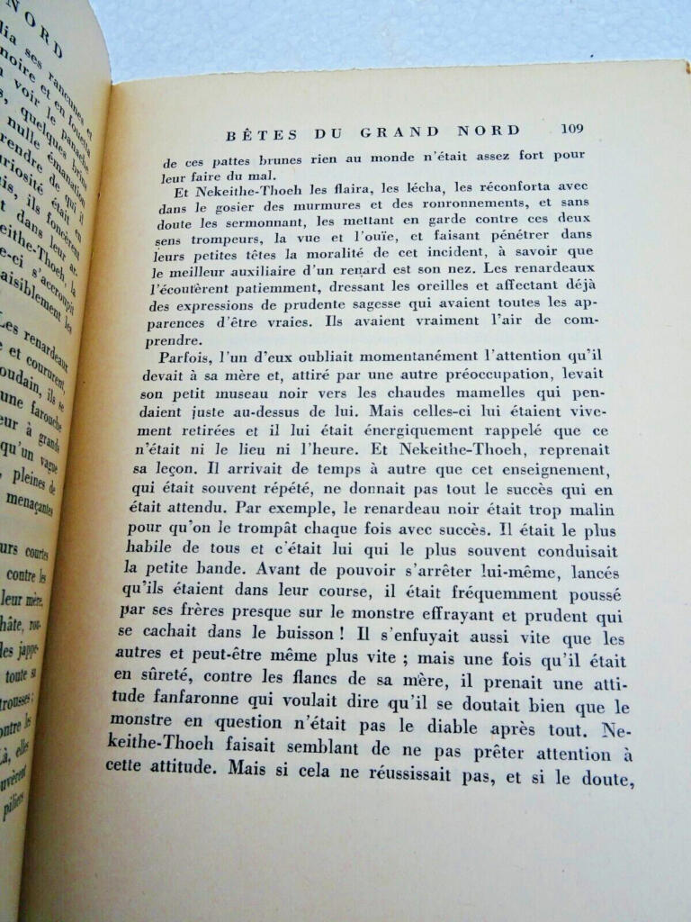 Nordische Wildnis: Biber, Bisamratten, Füchse, Luchse, Elche, Bären, Häher