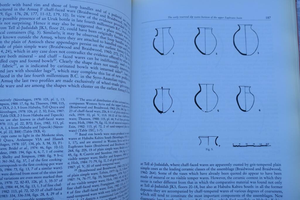 Archaeological studies in Anatolia and Mesopotamia
