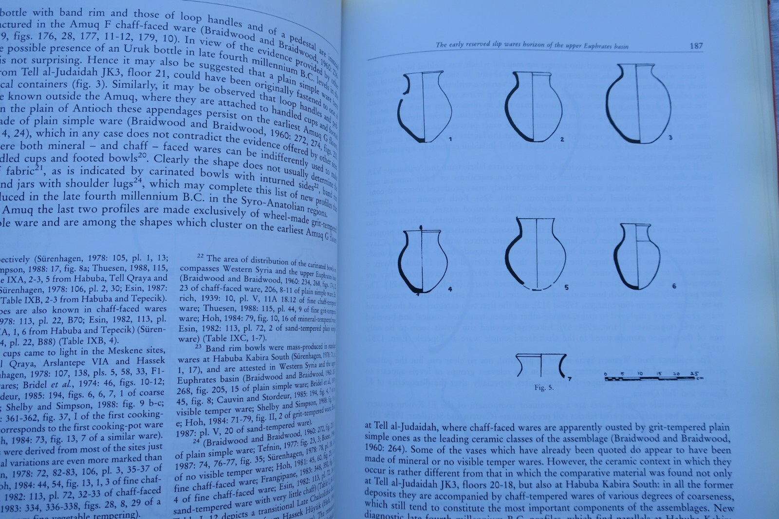 Between the Rivers & Over the Mountains: Archaeologica Anatolica et Mesopotamica – Image 7