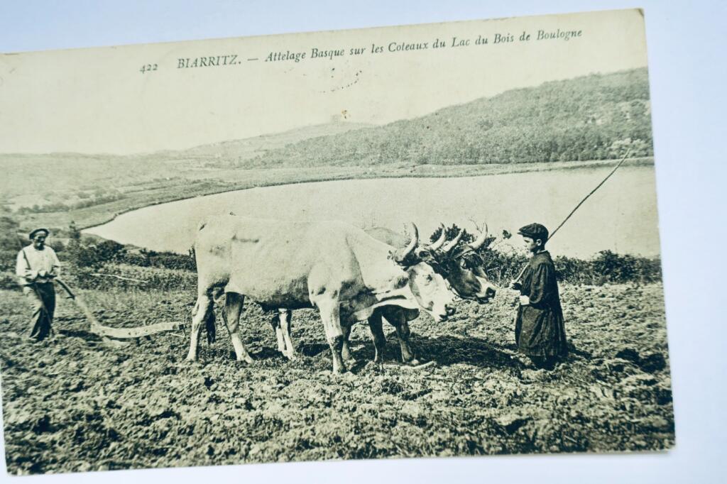 Basque horse-drawn carriage in Biarritz