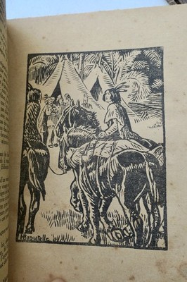 Nature and wildlife in literature