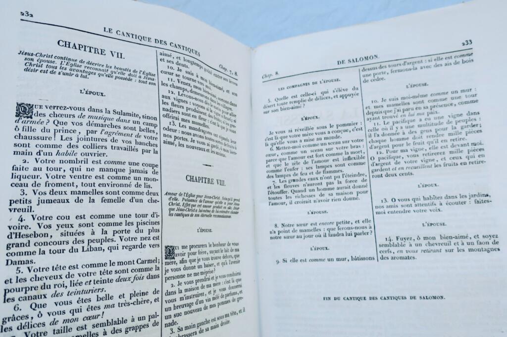 Illustrierte Bibel von Abbé Jager