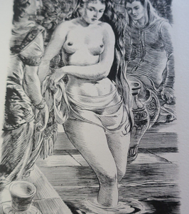 BIBLIA Imágenes Bíblicas. - Ilustraciones De André Hofer