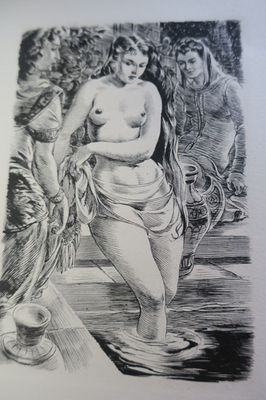 BIBLIA Imágenes Bíblicas. - Ilustraciones De André Hofer