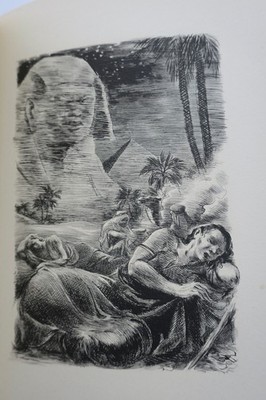 Biblische Geschichten mit künstlerischen Illustrationen - Image 4
