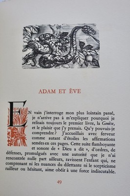 Biblische Geschichten mit künstlerischen Illustrationen - Image 6