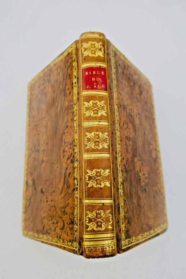 Bible Fleury Bible du jeune âge ou abrégé de l'histoire sainte