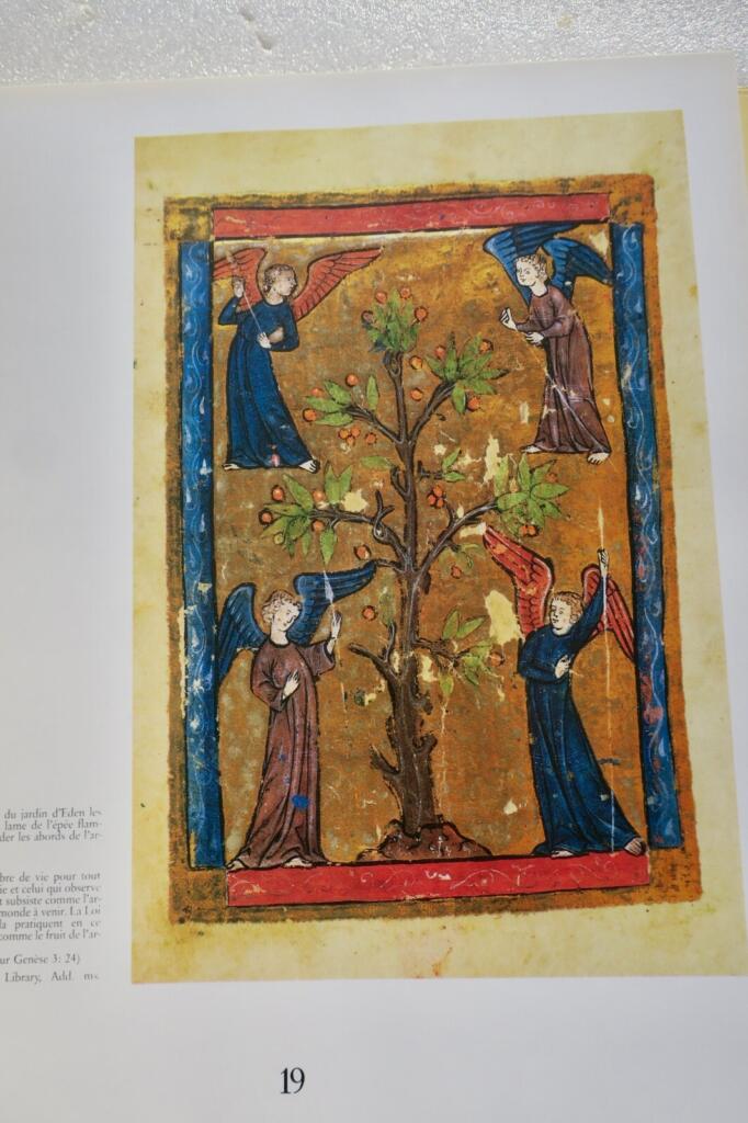 Übersicht der Hebräischen Bibel