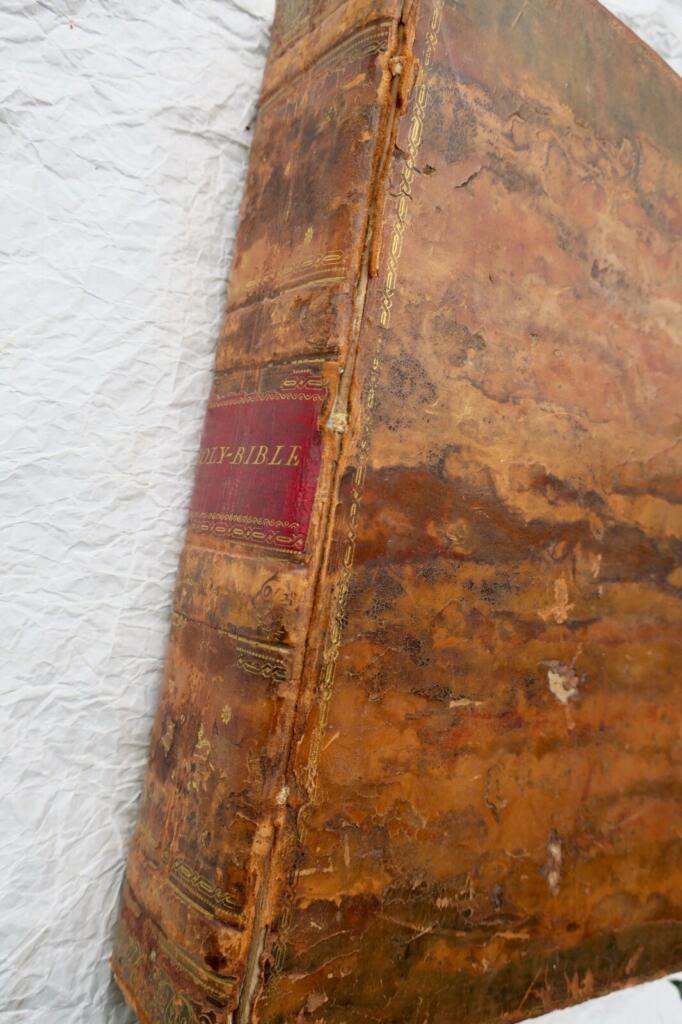 Illustrated Holy Bible by Heath and Westall