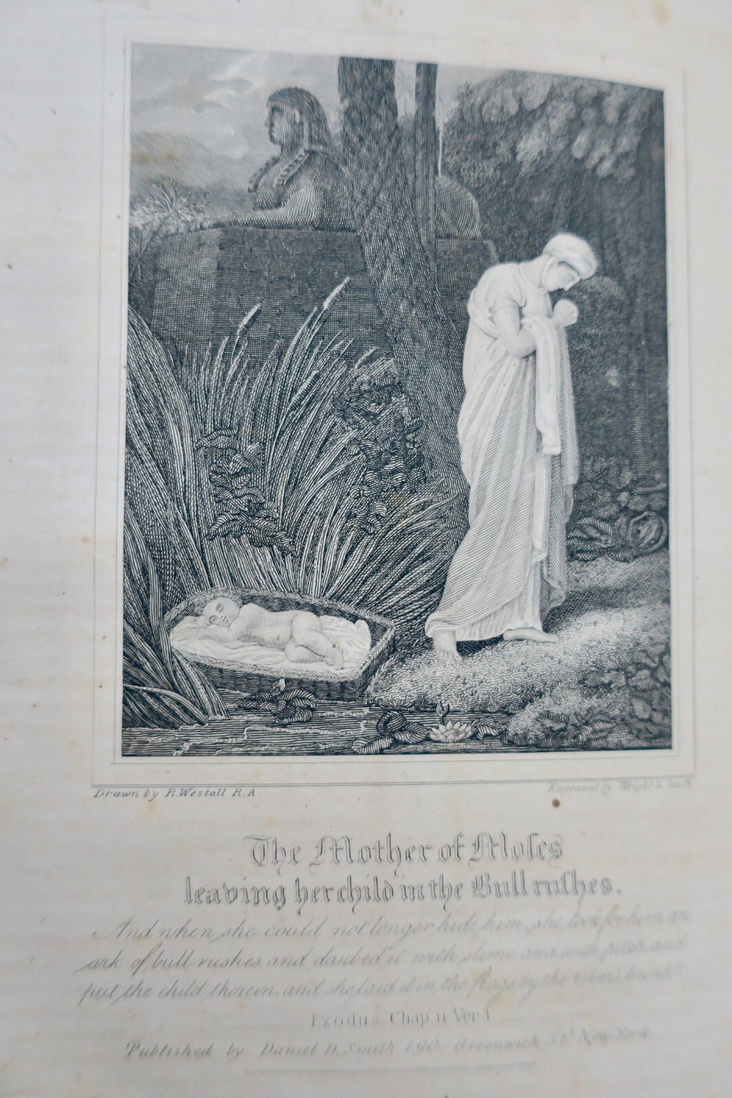 bible HOLY BIBLE Westall New York - Image 12