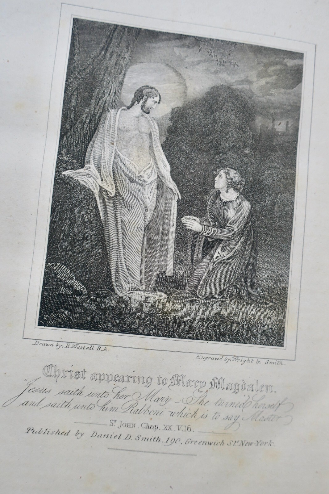 bible HOLY BIBLE Westall New York - Image 9