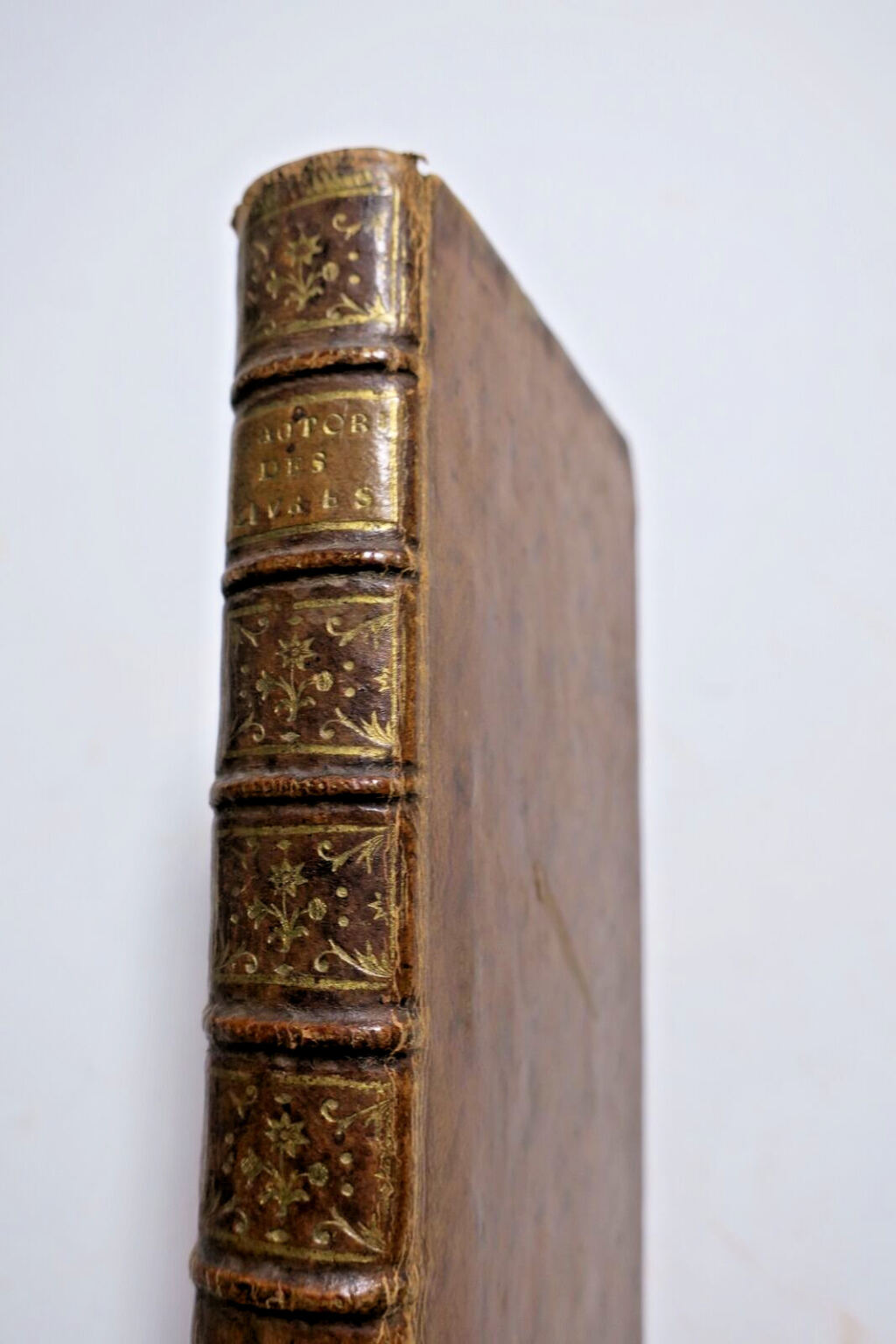 Rare work on New Testament authority