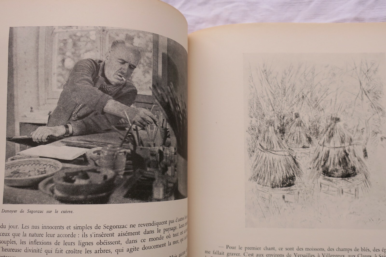 Bibliophilia Insights - Image 4