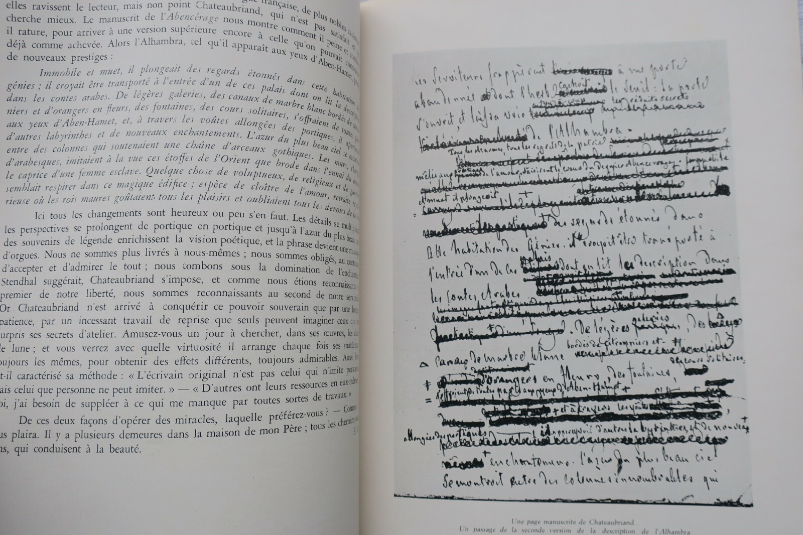 Bibliophilia Insights - Image 8