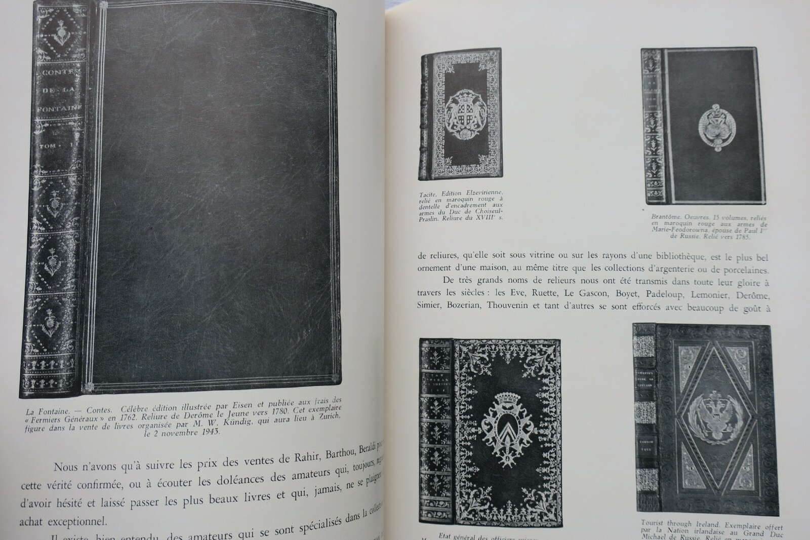 Bibliophilia Insights - Image 5